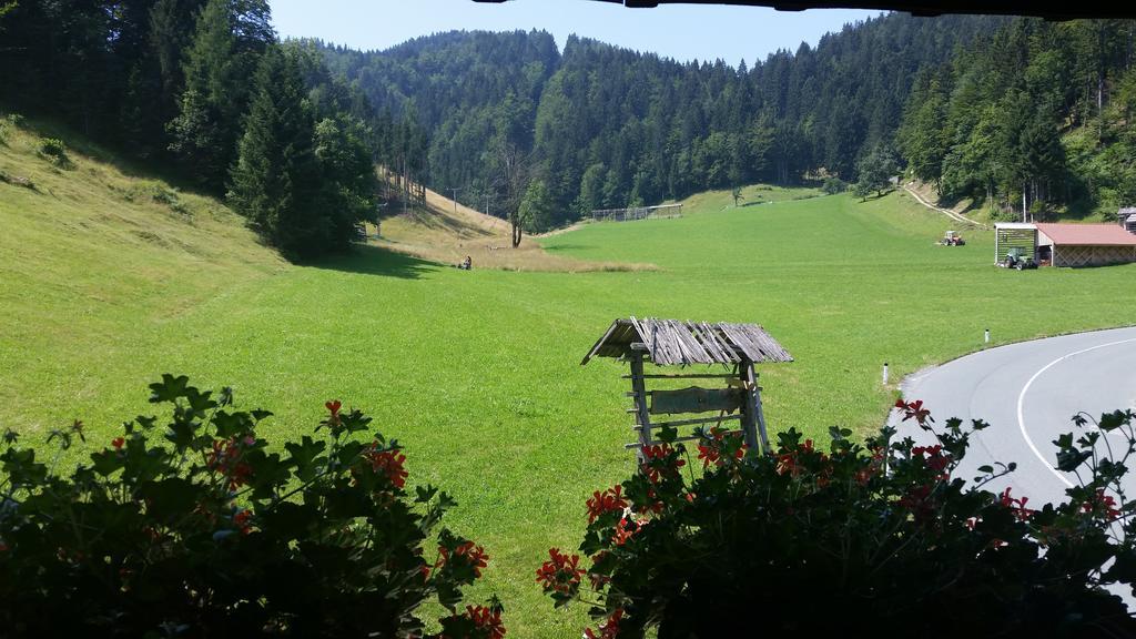 Brunarica Bled Zatrnik Pokljuka 部屋 写真