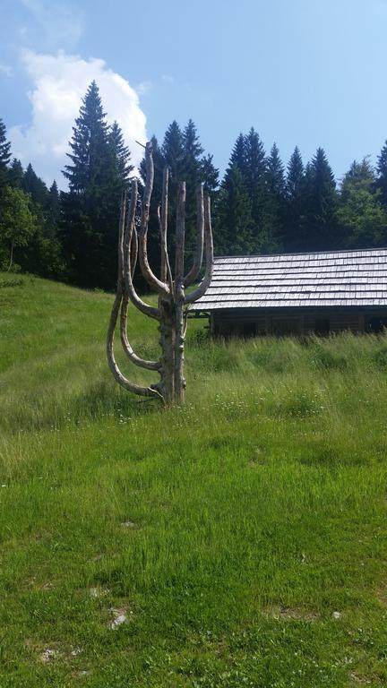 Brunarica Bled Zatrnik Pokljuka エクステリア 写真