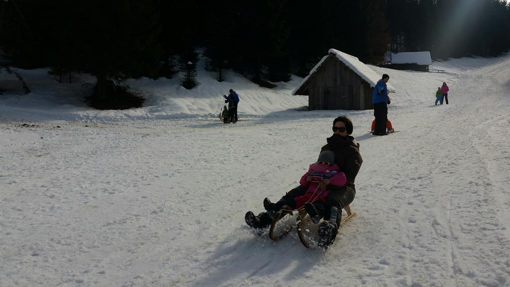 Brunarica Bled Zatrnik Pokljuka エクステリア 写真