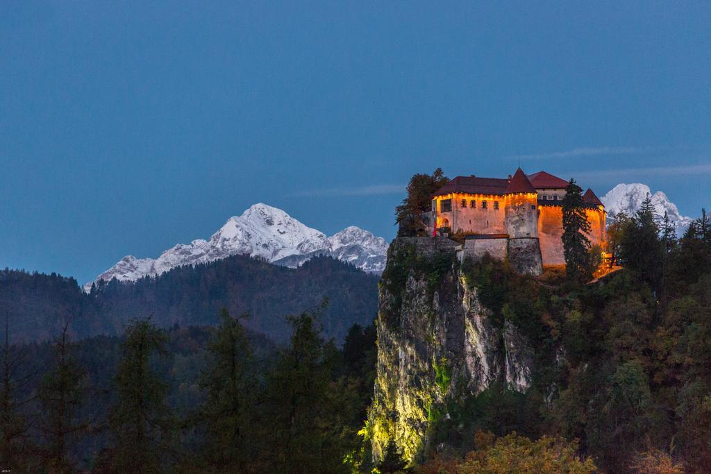 Brunarica Bled Zatrnik Pokljuka エクステリア 写真