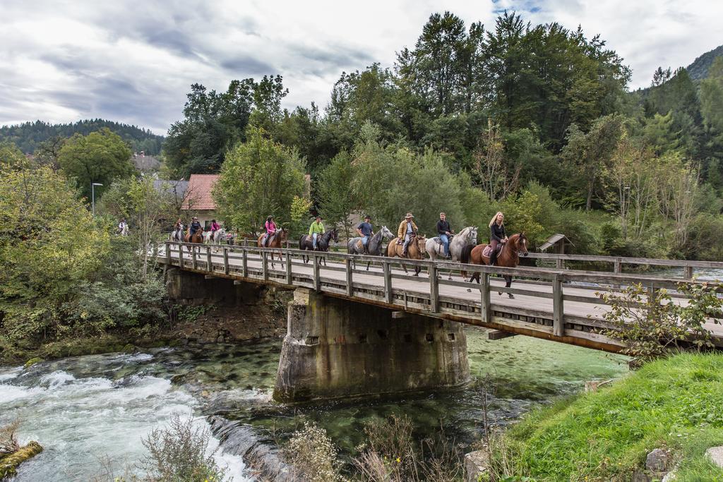 Brunarica Bled Zatrnik Pokljuka エクステリア 写真