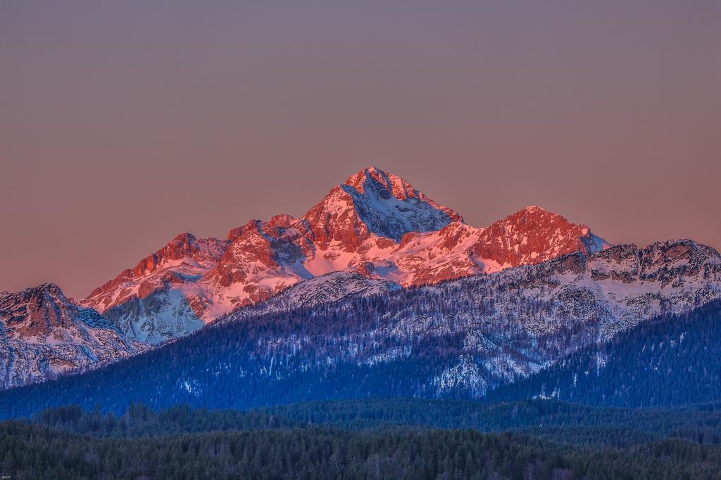 Brunarica Bled Zatrnik Pokljuka エクステリア 写真