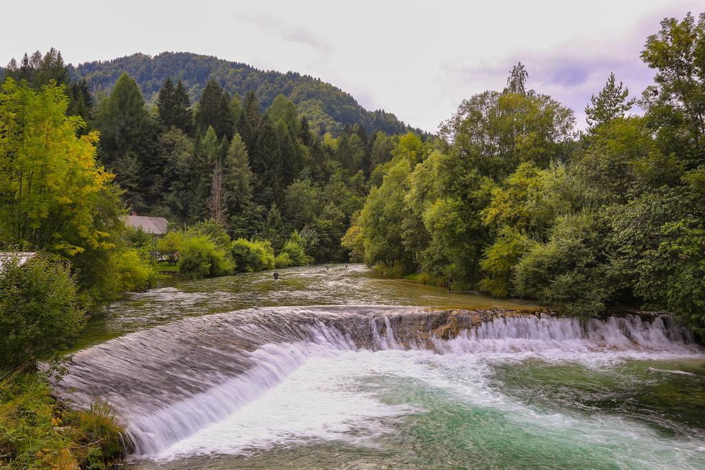 Brunarica Bled Zatrnik Pokljuka エクステリア 写真